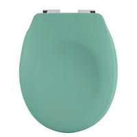 WC-SITZ - Salbeigrün, Basics, Kunststoff (45.5/37/5.5cm) - Spirella