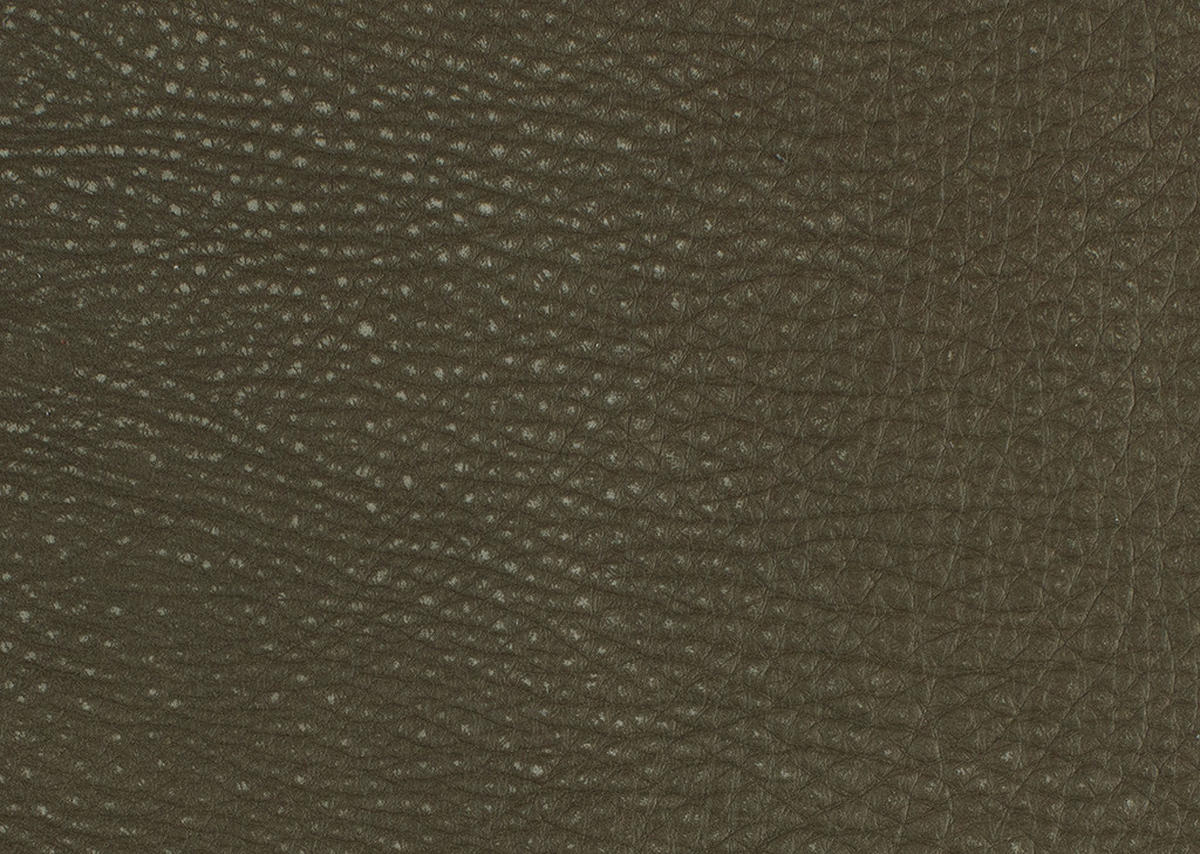SESSEL in Echtleder Olivgrün  - Schwarz/Olivgrün, Design, Leder/Metall (80/104/99cm) - Koinor