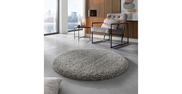 HOCHFLORTEPPICH 160 cm Grau  - Grau, Basics, Textil (160cm) - Novel