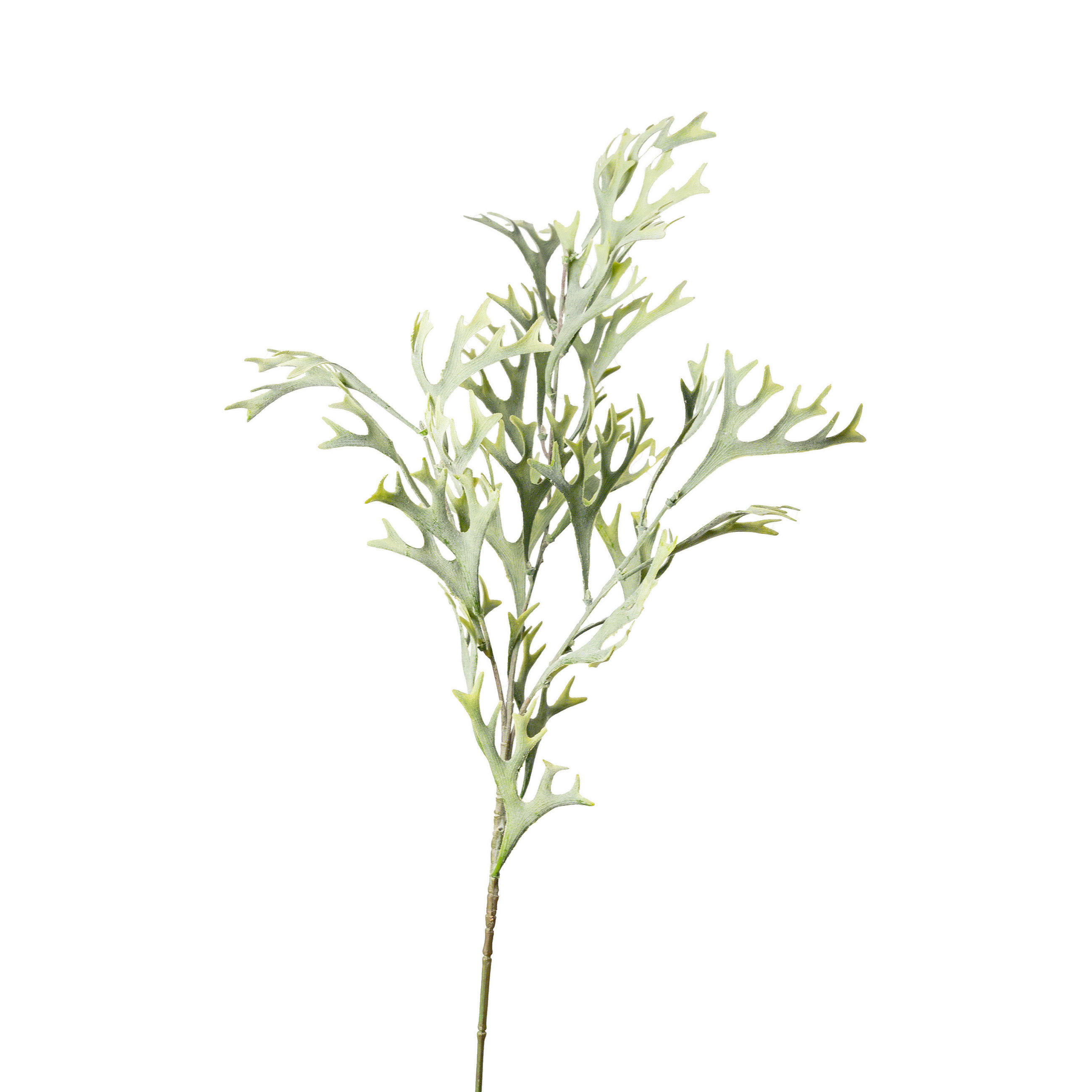 Plantă Artificială - verde închis/verde, Basics, plastic/textil (78cm)