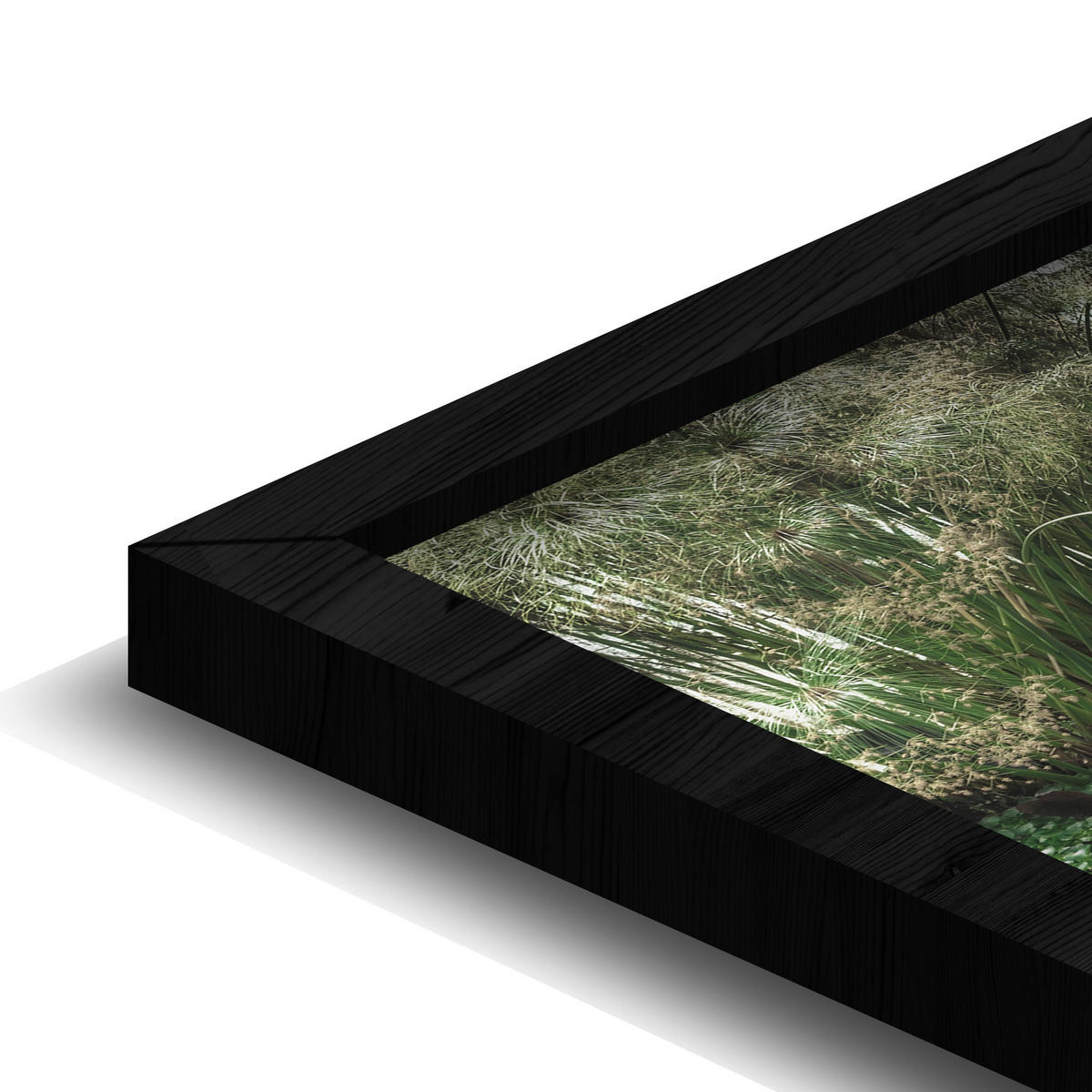 BILD Landschaft & Natur, Bäume, Blumen, Pflanzen, Blätter  - Schwarz/Grün, Design, Holz/Kunststoff (148/98cm)