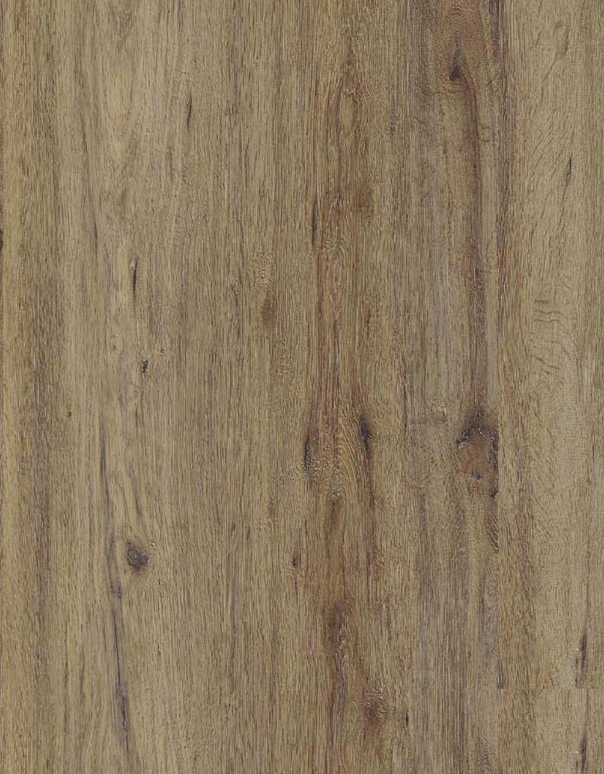 DESIGNBODEN X-Large  per  m² - Eichefarben, Basics, Kunststoff (151/22/0.75cm)