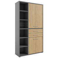 AKTENSCHRANK Eiche Grau, Hickory  - Grau/Hickory, MODERN, Holz/Holzwerkstoff (116,5/215,4/40cm) - Novel