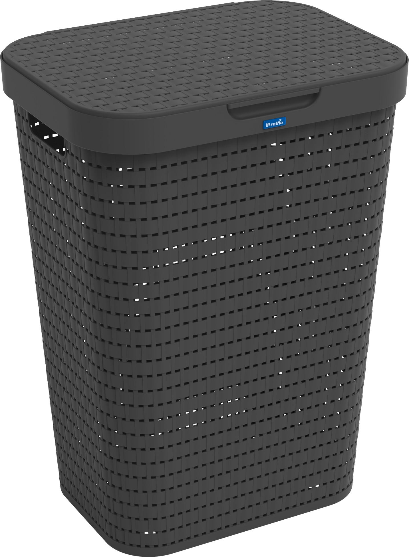 KOŠ NA ŠPINAVÉ PRÁDLO, černá - černá, Basics, plast (42/57,7/32,2cm) - Rotho