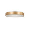 LED-DECKENLEUCHTE Ringlede 38/9 cm   - Goldfarben, Basics, Kunststoff/Metall (38/9cm)