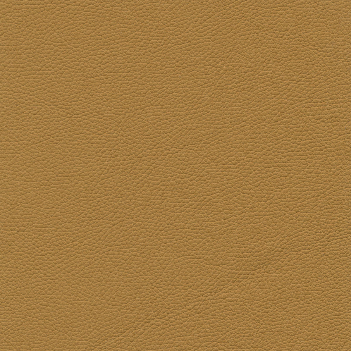 3-SITZER-SOFA in Leder Senfgelb  - Senfgelb, Design, Leder/Metall (215/90/109cm)