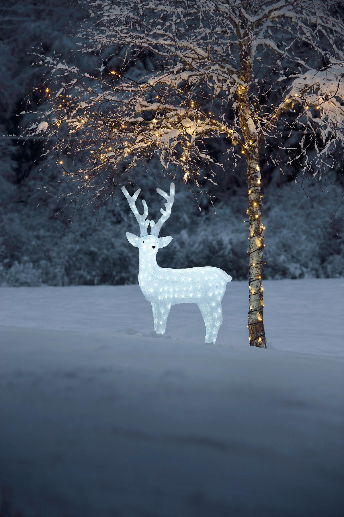 LED-DEKOLEUCHTE  - Klar, LIFESTYLE, Kunststoff (73/130/27cm)