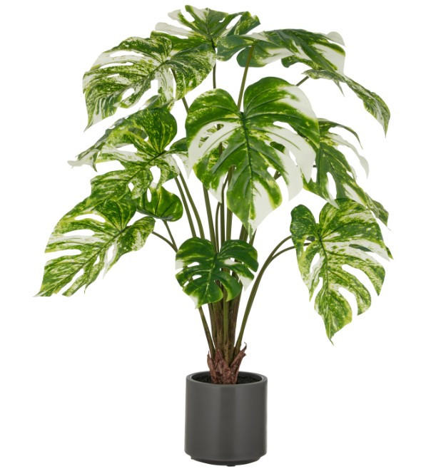 KUNSTPFLANZE Split Philodendron 100 cm  - Braun/Weiß, Basics, Kunststoff (100cm)