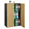 AKTENSCHRANK Anthrazit, Honigeiche  - Honigeiche/Anthrazit, Design (70/110/39cm) - MID.YOU
