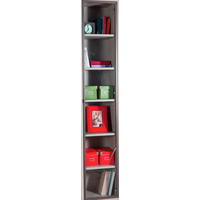 TÜR - Anthrazit, Design, Glas/Metall (37/209/2cm) - Carryhome