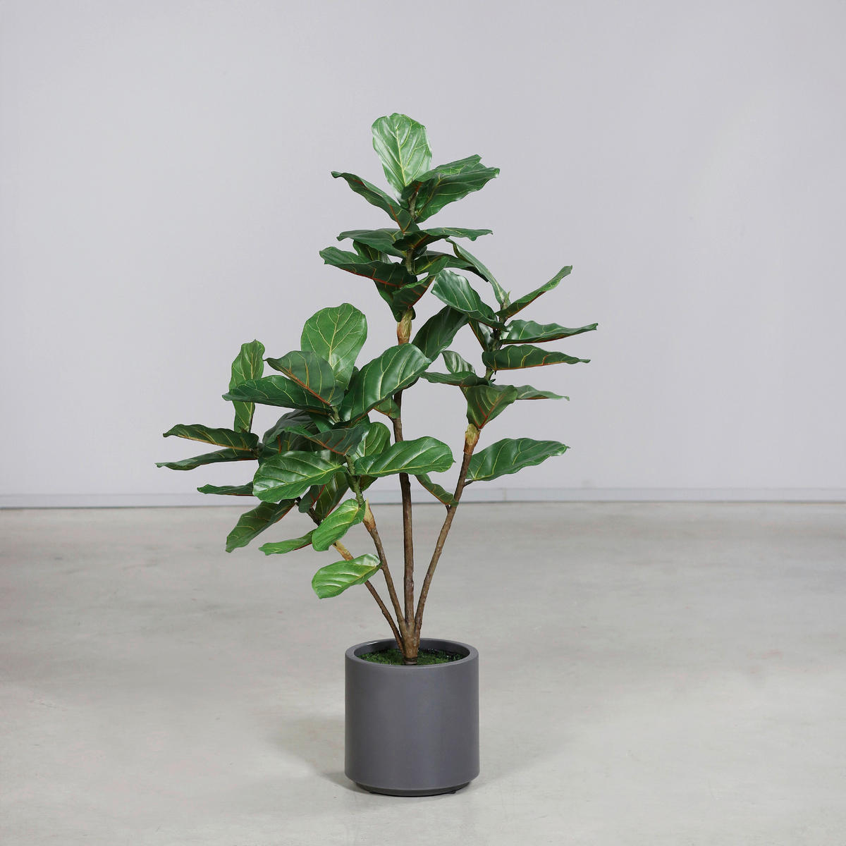 KUNSTPFLANZE Ficus Benjamina 100 cm  - Braun/Hellgrün, Basics, Kunststoff (100cm)