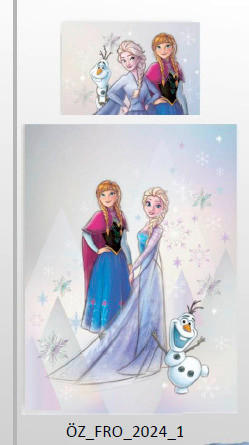 JUGENDBETTWÄSCHE FROZEN JUMP Flanell 135/200 cm  - Design, Textil (135/200cm) - Disney