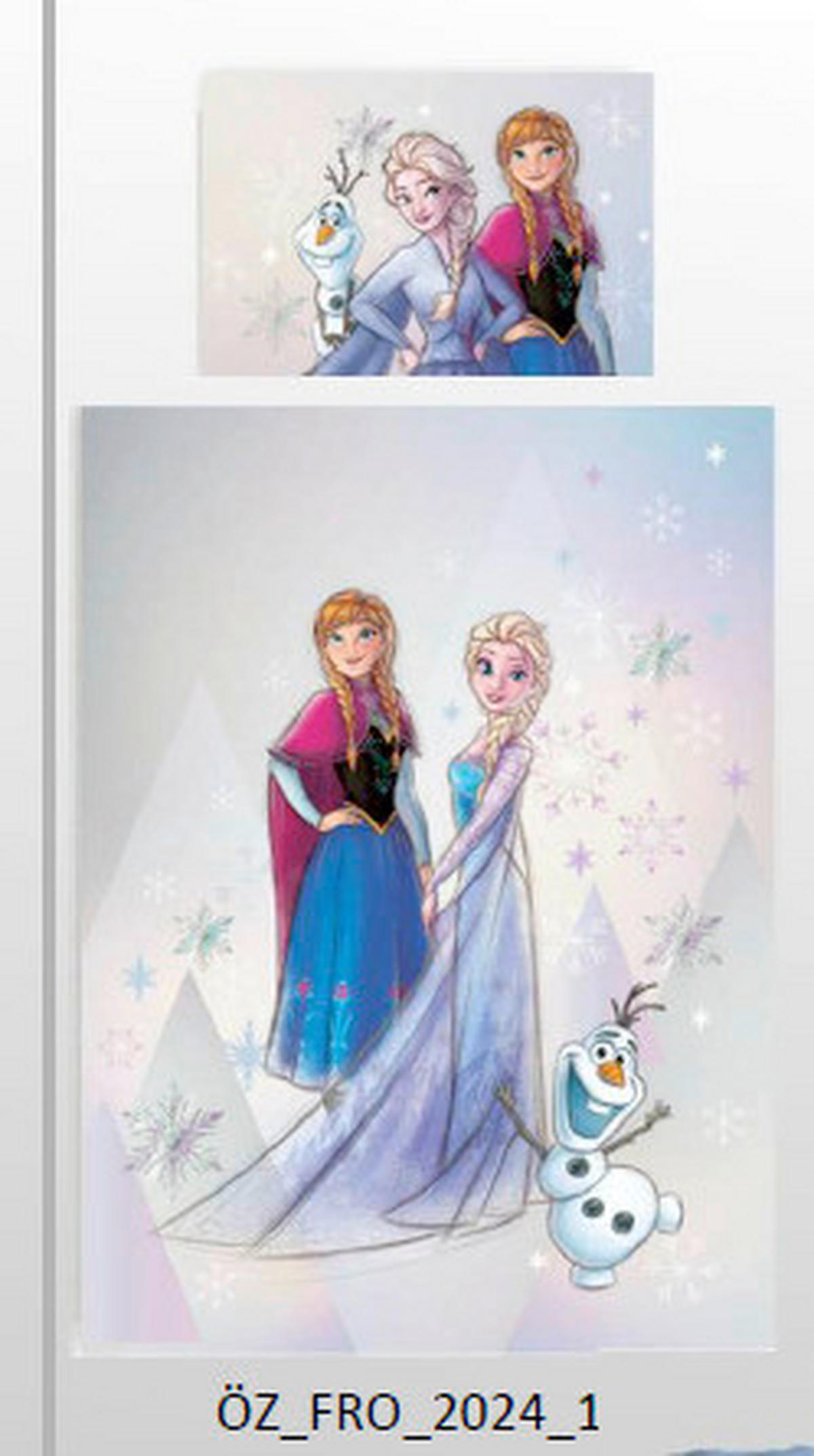 JUGENDBETTWÄSCHE FROZEN JUMP Flanell 135/200 cm  - Design, Textil (135/200cm) - Disney