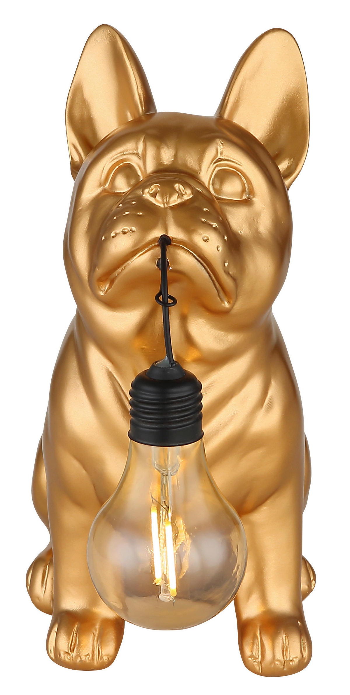 SOLARLEUCHTE Greenday 23/11,8/23,5 cm  - Goldfarben, Design, Kunststoff (23/11,8/23,5cm) - Globo