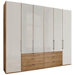 FALTTÜRENSCHRANK 250/216/58 cm 4-türig Champagner, Eiche Bianco  - Schieferfarben/Eiche Bianco, KONVENTIONELL, Glas/Holzwerkstoff (250/216/58cm) - Dieter Knoll