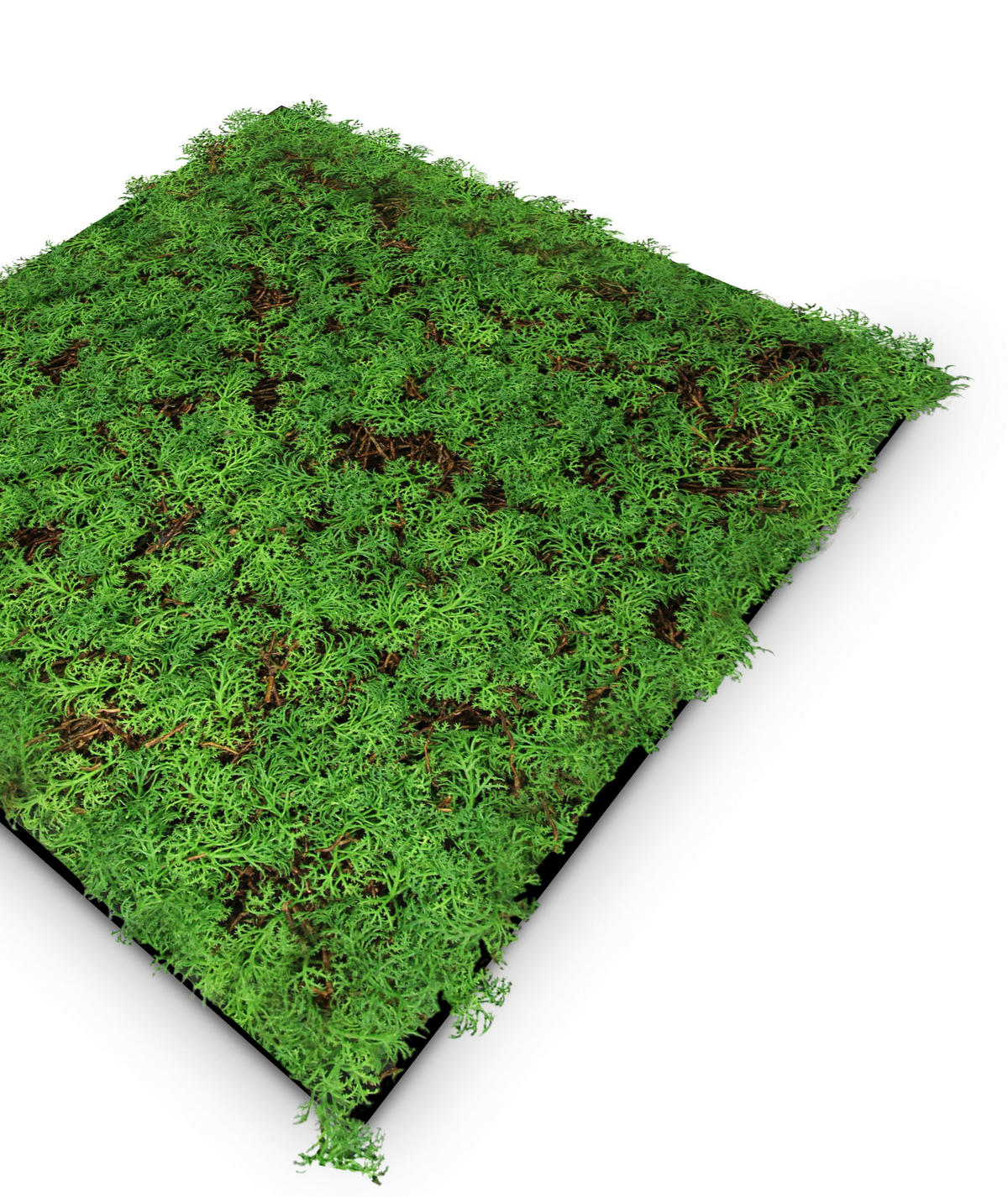 AKUSTIKPANEEL Modular Wall System Nature Design Flora 52/52/6 cm  - Hellgrün, KONVENTIONELL, Kunststoff (52/52/6cm) - Jangal