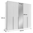 DREHTÜRENSCHRANK  in Graphitfarben  - Schwarz/Graphitfarben, MODERN, Glas/Holzwerkstoff (225/225/52cm) - Carryhome