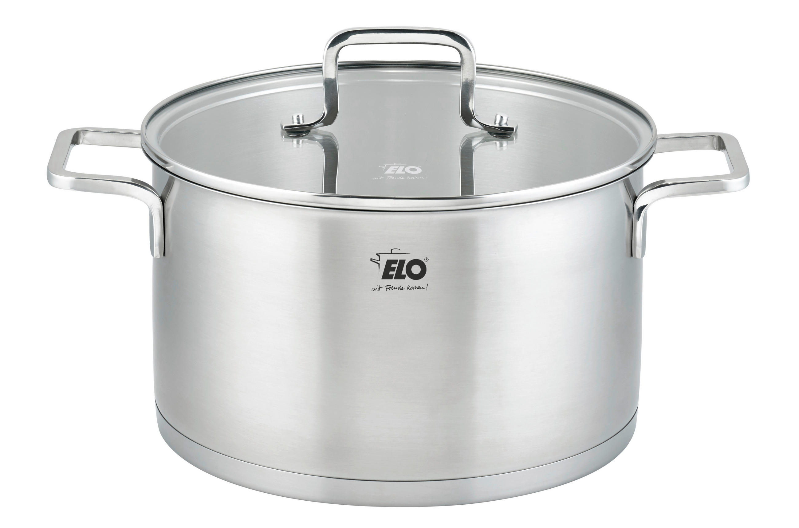 FLEISCHTOPF Topas 5,6 L  - Transparent/Silberfarben, Basics, Glas/Metall (24cm) - ELO