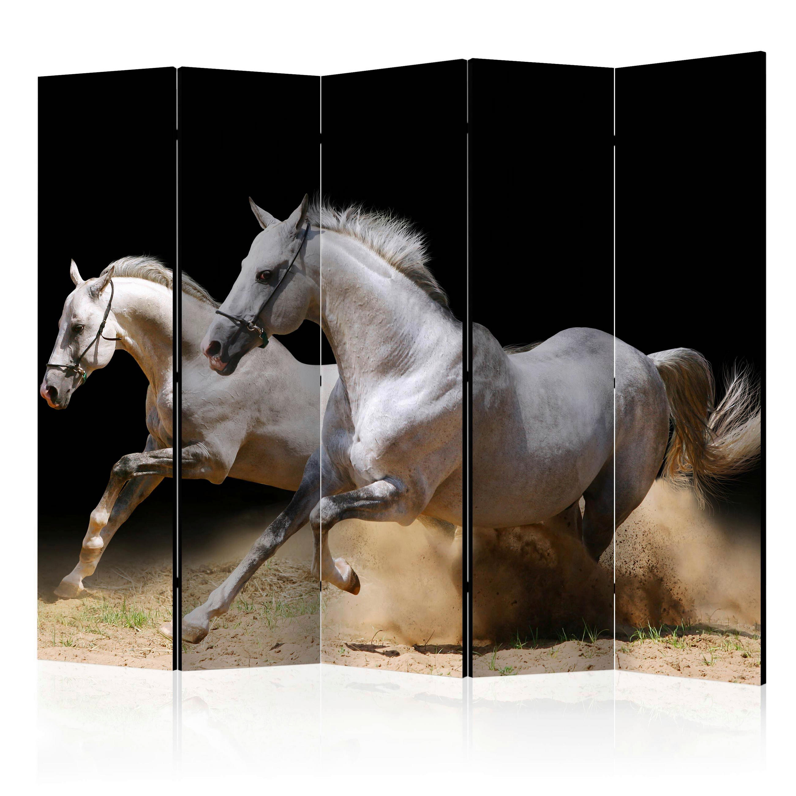 artgeist PARAVÁN, 225/172/3 cm