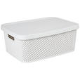 AUFBEWAHRUNGSBOX 38,5/28/15,5 cm     - Weiß, Basics, Kunststoff (38,5/28/15,5cm) - Homeware
