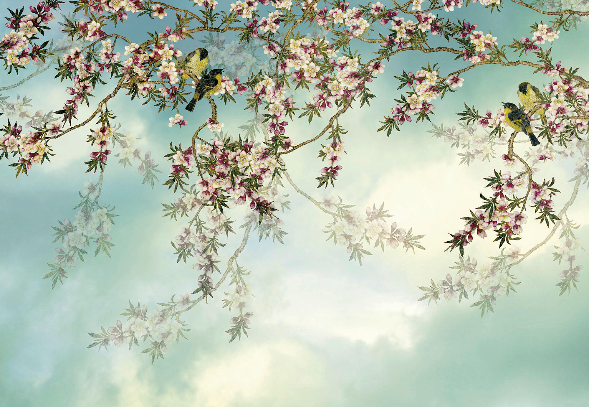 Xora Fototapete Blau, Rosa, Weiß 368x254 cm