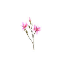 MAGNOLIE - Pink/Braun, LIFESTYLE, Kunststoff (55cm)