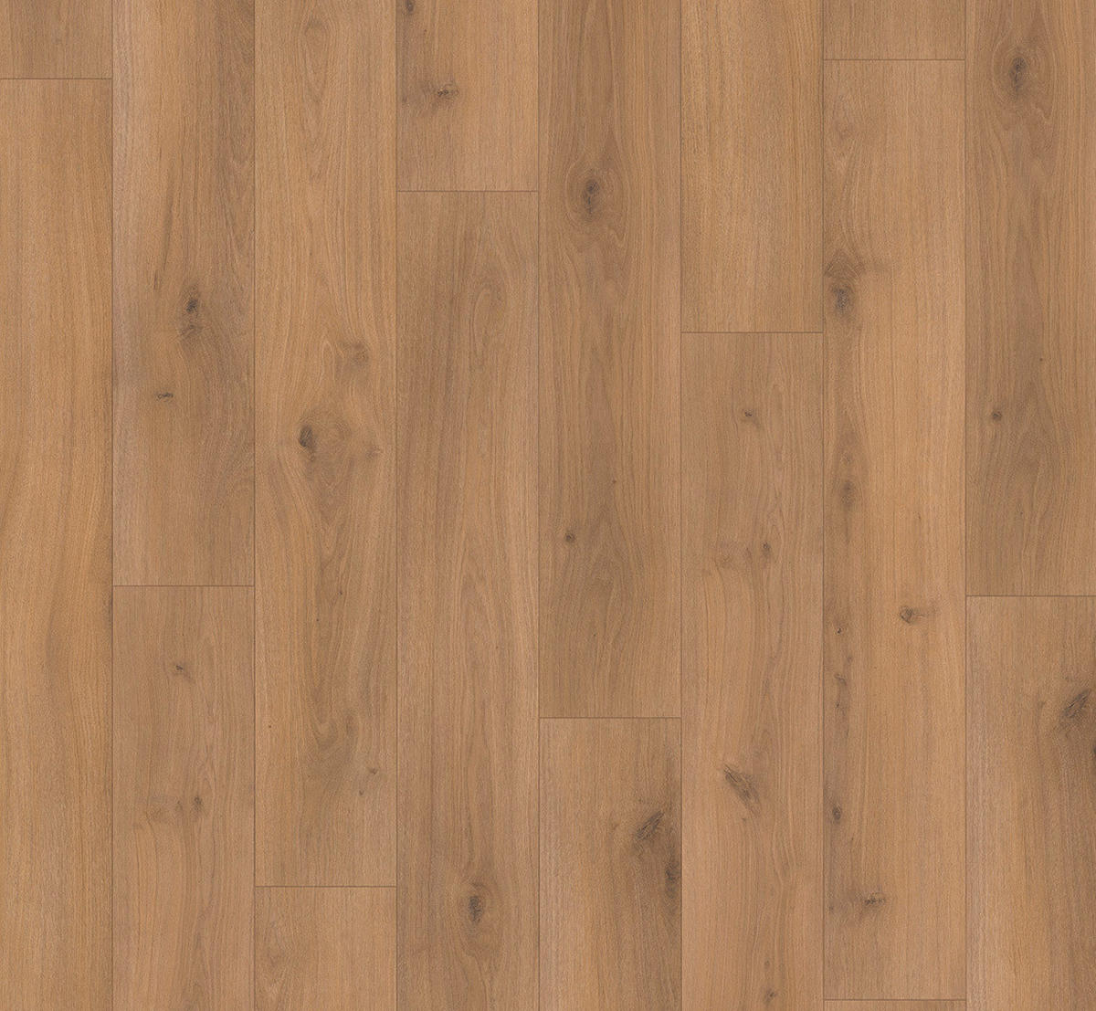 LAMINATBODEN Laminat Basic 400  per  m² - Eichefarben, Basics, Holzwerkstoff (128.5/19.4/0.8cm) - Parador