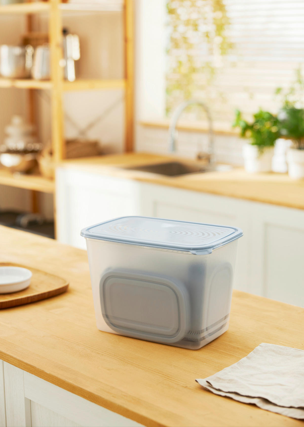 FRISCHHALTEDOSENSET 17-teilig  - Blau/Transparent, Basics, Kunststoff (16,5/16,5/22,8cm) - Rotho