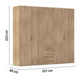 DREHTÜRENSCHRANK  in Sonoma Eiche  - Sonoma Eiche, Design, Holzwerkstoff/Kunststoff (251/223/60cm) - Novel