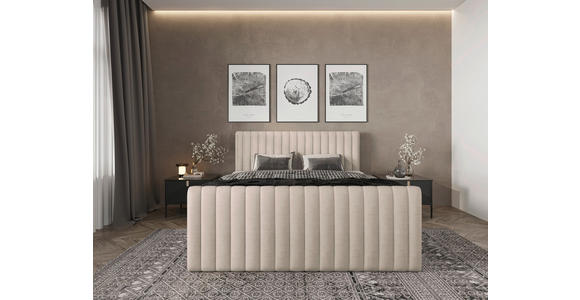 BOXBETT 160/200 cm  in Creme  - Creme/Schwarz, Basics, Kunststoff/Textil (160/200cm) - Carryhome