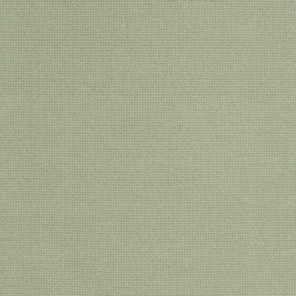 FERTIGVORHANG  Verdunkelung  135/245 cm   - Salbeigrün, KONVENTIONELL, Textil (135/245cm) - Dieter Knoll