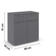 KOMMODE  in 80/81/42 cm  - Chromfarben/Dunkelgrau, Design, Holzwerkstoff/Metall (80/81/42cm) - Carryhome