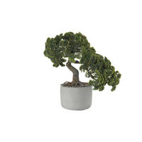 BONSAI         24,5/17,5/24,5 cm     - zelena, Osnovno, plastika (24,5/17,5/24,5cm) - ASA