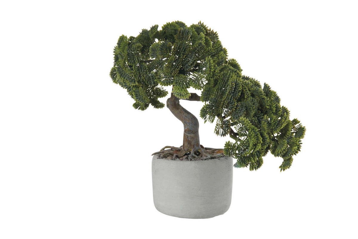 BONSAI         24,5/17,5/24,5 cm     - zelena, Osnovno, plastika (24,5/17,5/24,5cm) - ASA