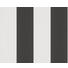 VLIESTAPETE 10,05 m - Schwarz/Weiß, Design, Textil (53/1005cm)