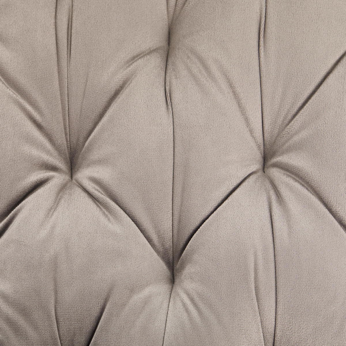 STUHL Samt Grau Pappel Sperrholz  - Schwarz/Grau, MODERN, Holz/Textil (52/85/59cm) - Livetastic