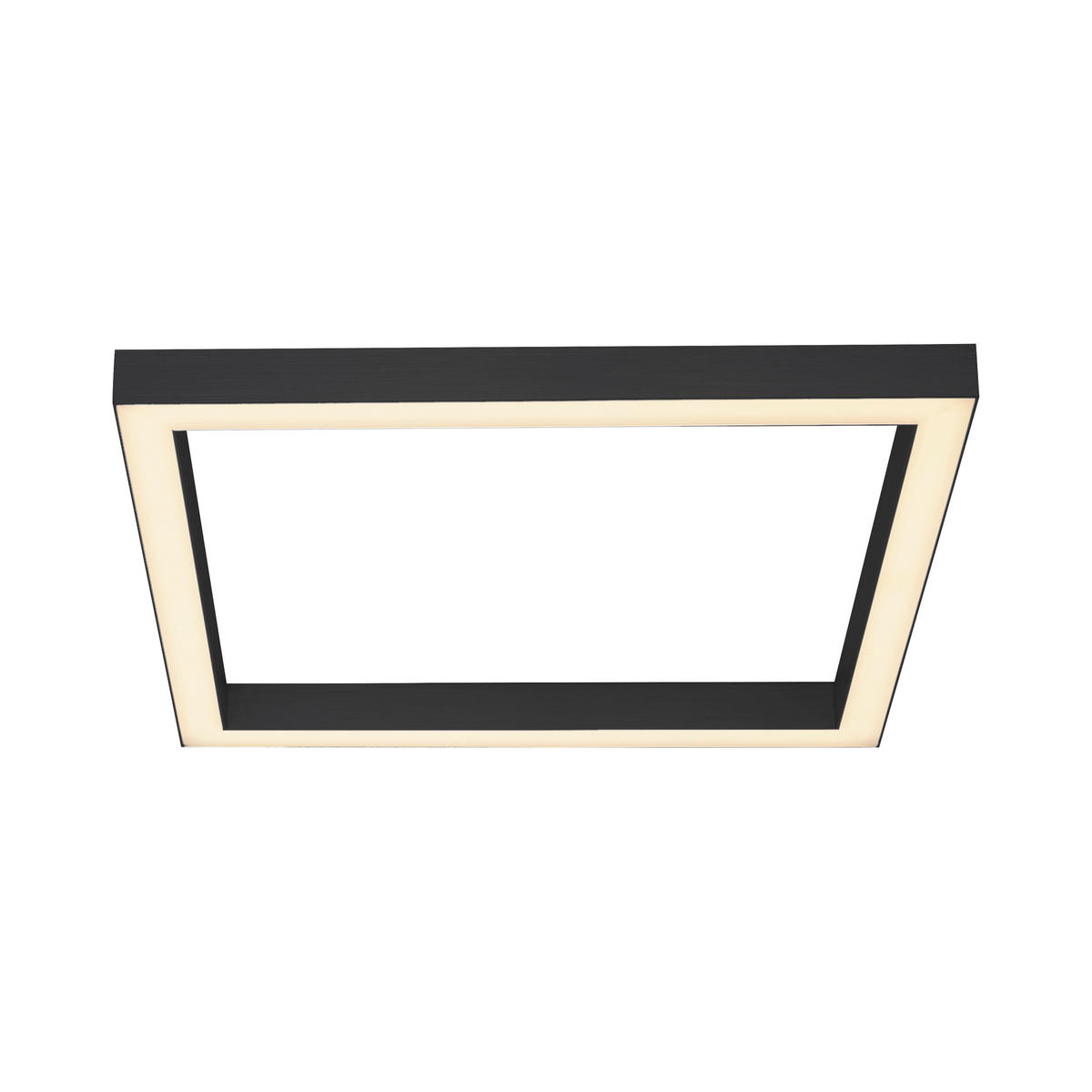 STROPNÍ LED SVÍTIDLO, 55/55/3,9 cm - antracitová, Design, kov/plast (55/55/3,9cm)