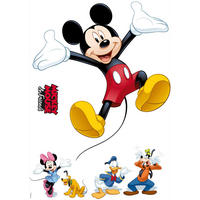 DEKOSTICKER 50/70 cm     - Klar/Multicolor, LIFESTYLE, Kunststoff (50/70cm)