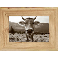 KUNSTDRUCK 30/40 cm  - Eichefarben/Multicolor, Natur, Holzwerkstoff (30/40cm) - Monee