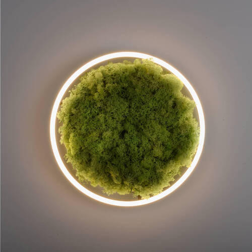 LED-DECKENLEUCHTE Green Ritus 39,3/39,3/5,3 cm   - Naturfarben, Natur, Naturmaterialien/Kunststoff (39,3/39,3/5,3cm)