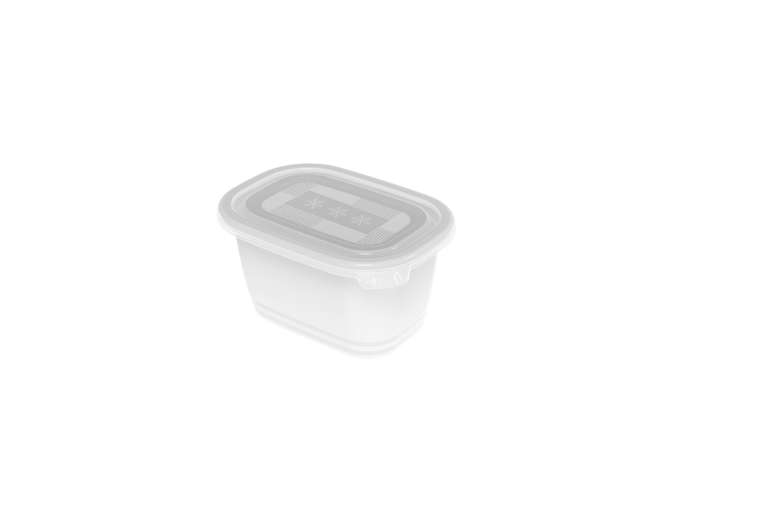 GEFRIERDOSE FREEZE 0,75 L  - Transparent, Basics, Kunststoff (15,5/11/13,4cm) - Rotho