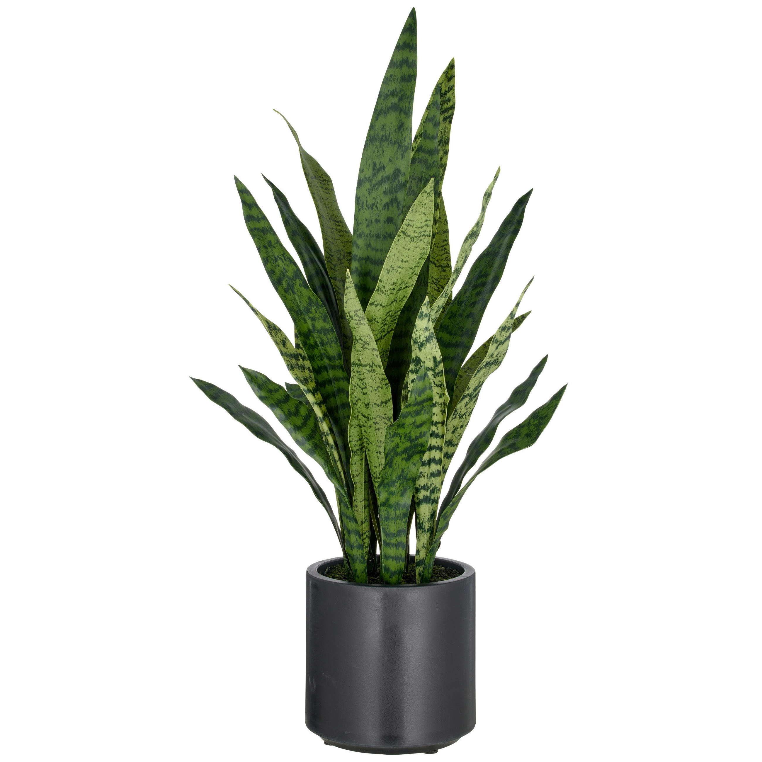 XXXLutz Kunstpflanze Sansevieria zeylanica Grün, Schwarz 90 cm
