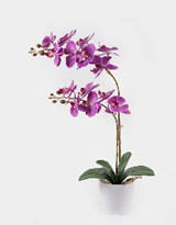 MŰNÖVÉNY - pink/fehér, Basics, műanyag