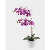 MŰNÖVÉNY - pink/fehér, Basics, műanyag