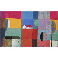 COVORAȘ DE INTRARE 75/120 cm  - multicolor, Konventionell, plastic/textil (75/120cm) - wash+dry