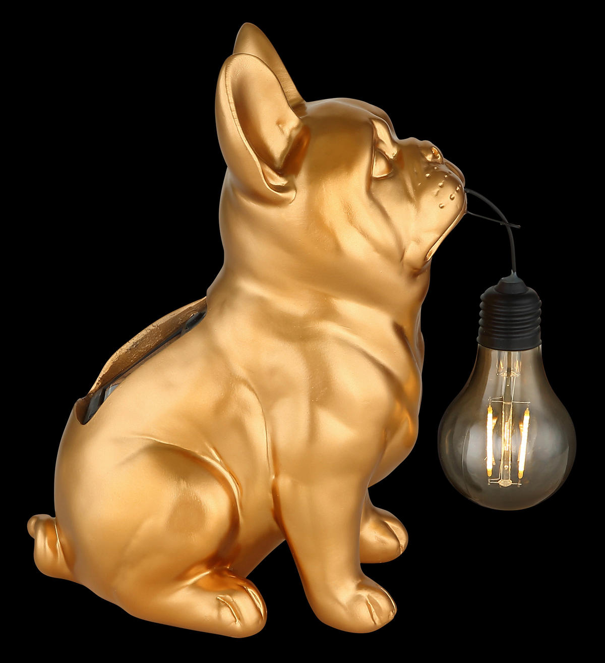 SOLARLEUCHTE Greenday 23/11,8/23,5 cm  - Goldfarben, Design, Kunststoff (23/11,8/23,5cm) - Globo