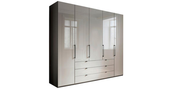 KLEIDERSCHRANK 250/216/58 cm 5-türig Grau, Hellgrau - Schieferfarben/Hellgrau, KONVENTIONELL, Glas/Holzwerkstoff (250/216/58cm) - Novel
