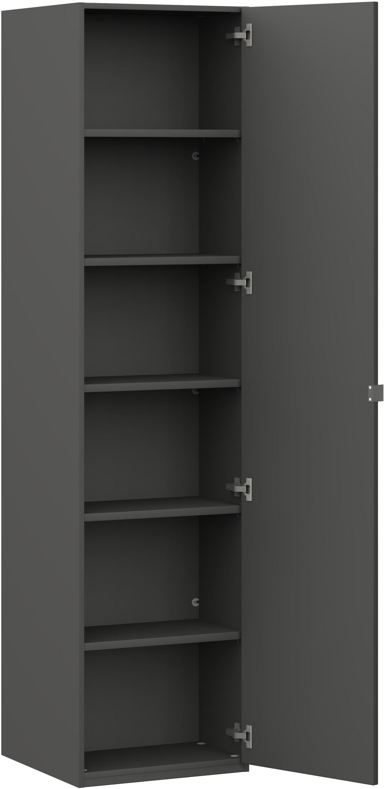 KLEIDERSCHRANK 1-türig Graphitfarben  - Edelstahlfarben/Graphitfarben, Design, Glas/Holzwerkstoff (51,3/213,6/59,3cm) - Cantus