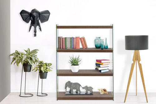 REGAL Hellbraun  - Hellbraun, Design, Glas/Holzwerkstoff (29,5/113/83cm) - Kayoom