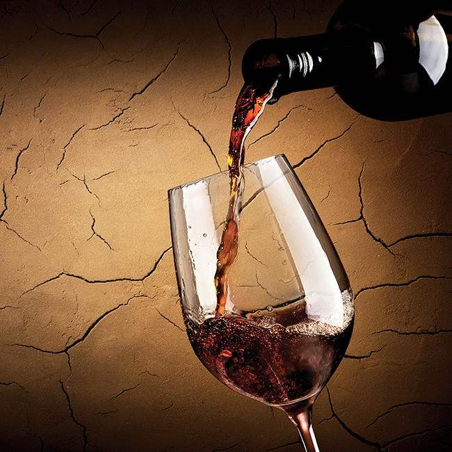 GLASBILD Essen & Trinken  - Multicolor, KONVENTIONELL, Glas (30/30/1,40cm) - Euroart